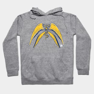 Navy Gold Angel Eye Hoodie